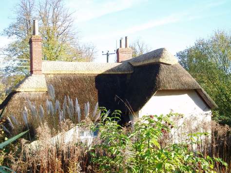 OLYMPUS DIGITAL CAMERAJohn Jennings Master Thatcher